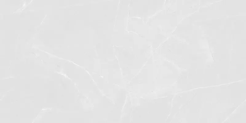 

Напольная плитка «Realistik» Vintage Armani Porce Matt. 120x60 69911 white