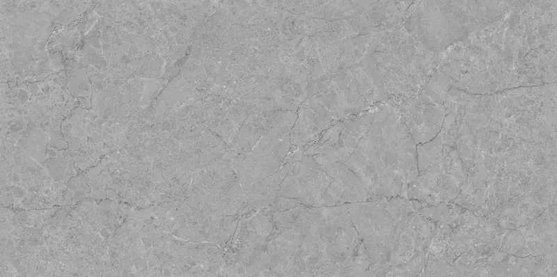 

Напольная плитка «Realistik» Refine Expo Matt. 120x60 72091 grey