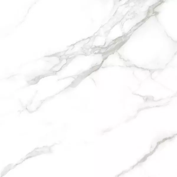 

Напольная плитка «Neodom» Statuario Matt. 120x120 N20517 irish grey