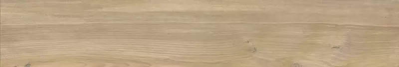 

Напольная плитка «Geotiles» Milton Matt. 90x15 78802921 miel