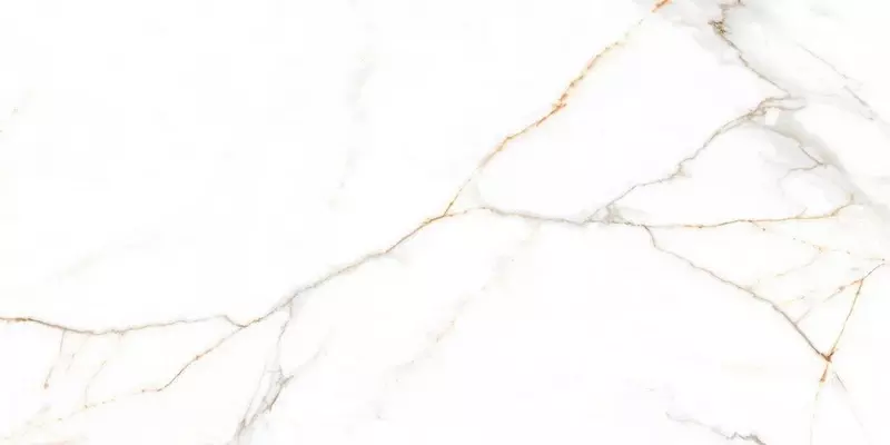 

Напольная плитка «LV Granito» Austrain Glossy 120x60 СК000042069 natural