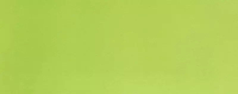 Настенная плитка «Azori» Палитра Matt. 50,5x20,1 00-00001911 зеленый