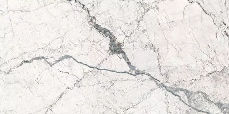 

Напольная плитка «Fanal» Windsor SShine 33 Glossy 120x60 923915 white