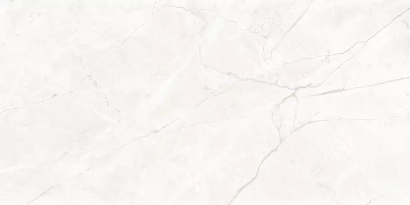

Напольная плитка «Laparet» Connect Matt. 119,1x59,5 SG50004720R pearl