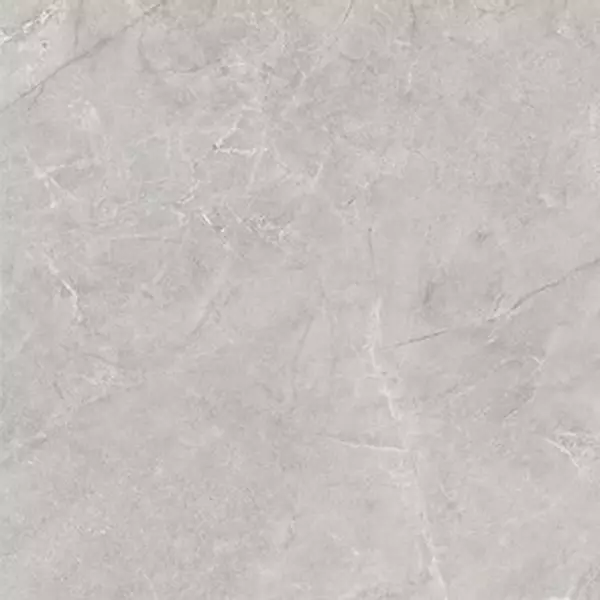 

Напольная плитка «Laparet» Pluto Matt. 59,5x59,5 SG625820R silver