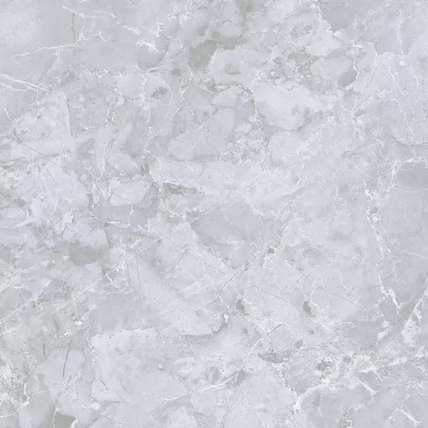 

Напольная плитка «Dako» Genio E-3019/M Matt. 60x60 СК000042235 серый