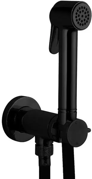 

Смеситель с гигиеническим душем «Bossini» Paloma E37007B.073 чёрный матовый