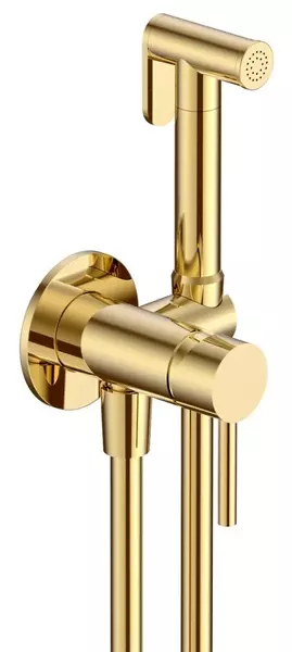 

Смеситель с гигиеническим душем «AQUAme» Siena AQM6217GG золото