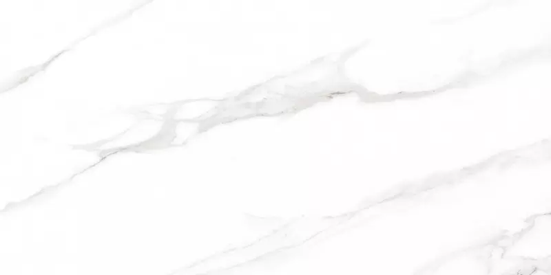 

Напольная плитка «Ceradim» Calacatta Regal Polish. 120x60 х9999302390 grey