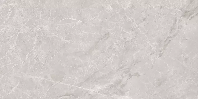 

Напольная плитка «Ceradim» Mramor Princess Polish. 120x60 х9999302391 grey