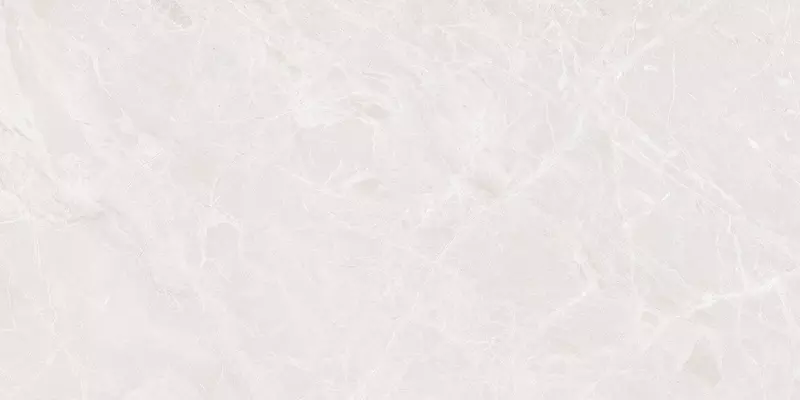 

Напольная плитка «Ceradim» Mramor Princess Polish. 120x60 х9999302393 white
