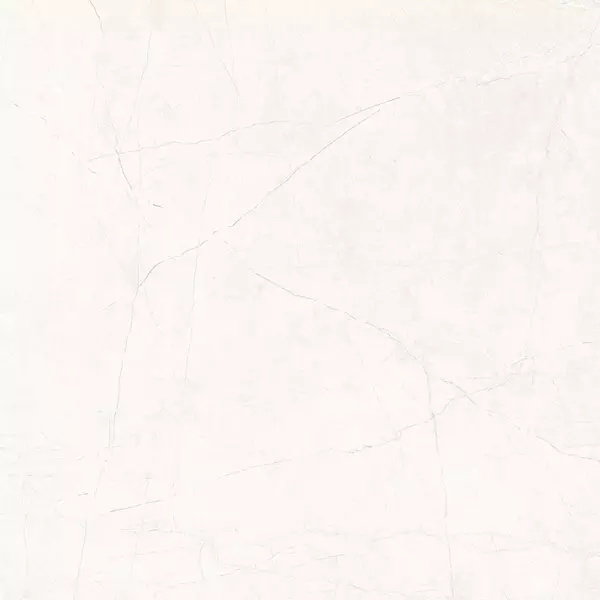 

Напольная плитка «Ceradim» Stone Micado Polish. 60x60 х9999301503 blanco