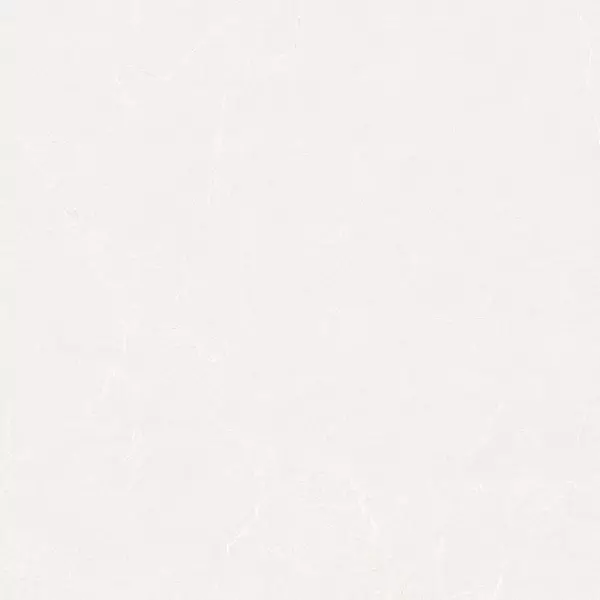 

Напольная плитка «Realistik» Pure Matt. 60х60 carving 76778 blanco