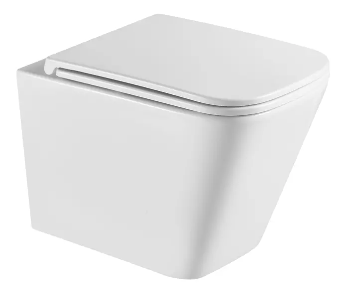 Подвесной унитаз безободковый Terminus Ватикан 03W49x34W белый с сиденьем дюропласт с микролифтом белое 18689₽