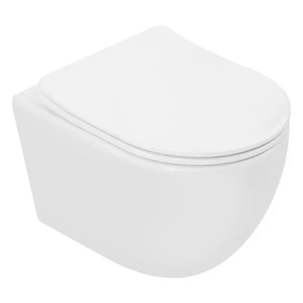 Подвесной унитаз Aquanet Cetus W Short Tornado белый с сиденьем дюропласт с микролифтом белое 11624₽
