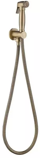 

Гигиенический гарнитур «Caprigo» Parts 99-563-vot бронза
