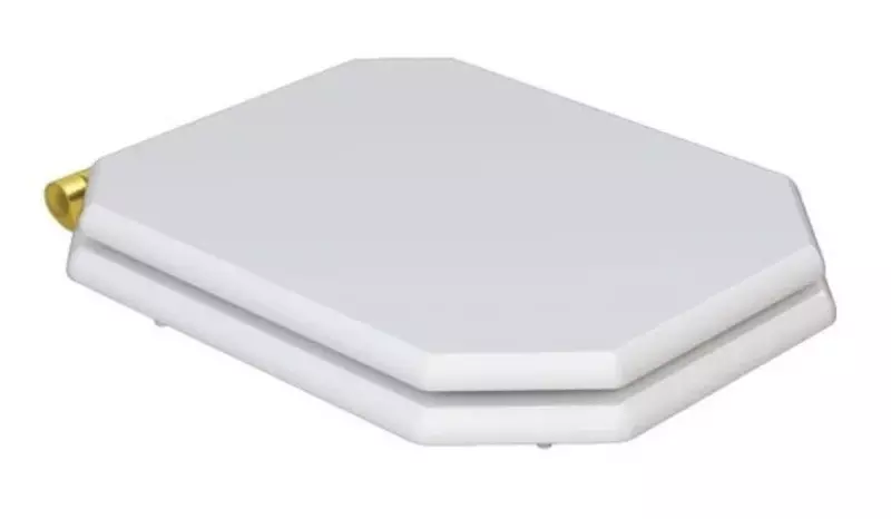 Сиденье для унитаза Caprigo Tempo KFe-47G-B231 с микролифтом белая 15577₽