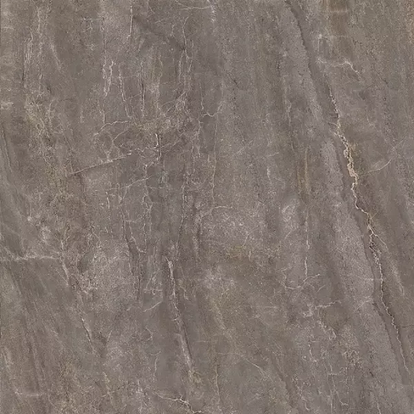 

Напольная плитка «Kerama Marazzi» Парнас Matt. 80х80 SG842000R пепельный