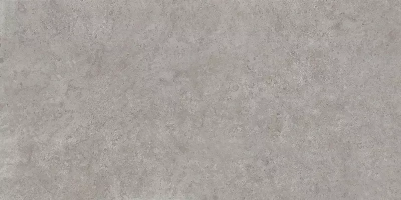 

Напольная плитка «Kerama Marazzi» Про Лаймстоун Matt. 238,5х119,5 DD590600R серый