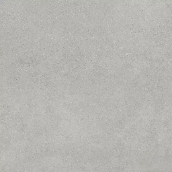 

Напольная плитка «Kerama Marazzi» Монсеррат Matt. 60х60 SG647520R серый светлый
