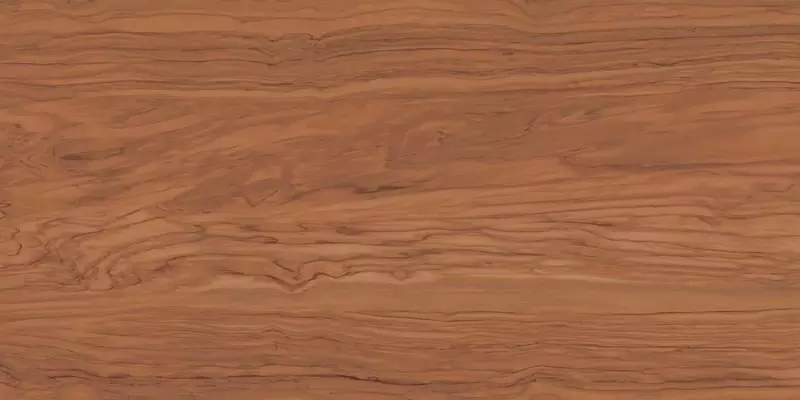 

Напольная плитка «Kerama Marazzi» Олива Matt. 119,5х60 SG565320R коричневый