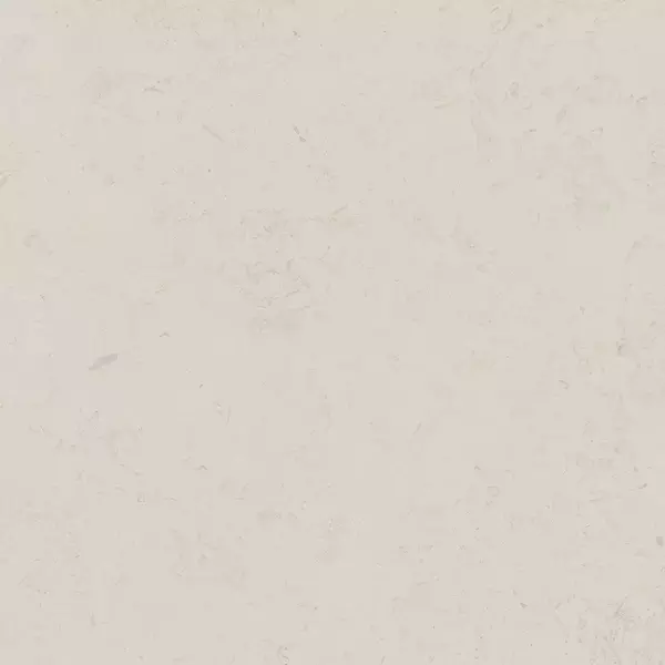 

Напольная плитка «Kerama Marazzi» Про Лаймстоун Matt. DD641320R бежевый светлый