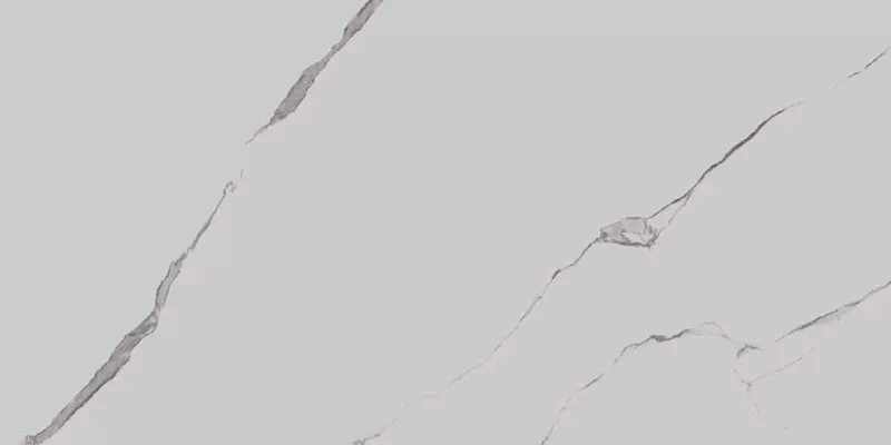 

Напольная плитка «Kerama Marazzi» Монте Тиберио Matt. 160х80 SG572190R белый