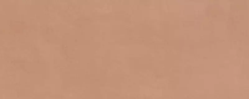 

Настенная плитка «Kerama Marazzi» Каннареджо Matt. 50х20 7254 оранжевый
