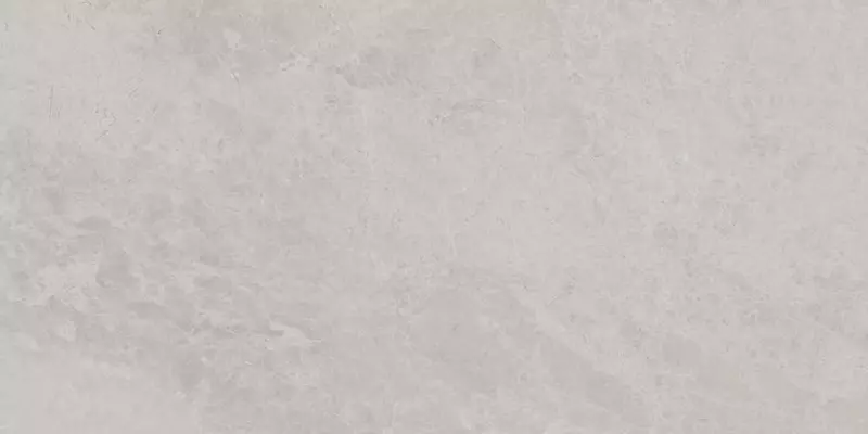 

Настенная плитка «Kerama Marazzi» Риальто Glossy 80х40 48009R серый светлый