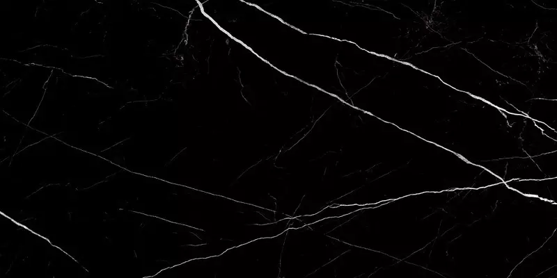 

Напольная плитка «LCM» Twinstone High Glossy 120х60 60120TWN99HG black