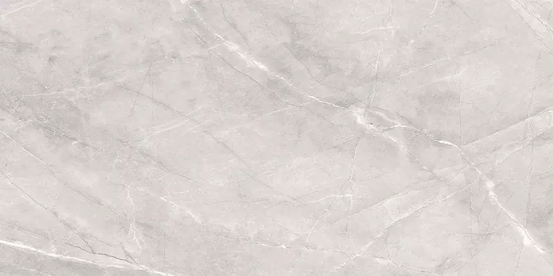 

Напольная плитка «Staro» Silk Armani Matt. 120х60 С0005650 silver