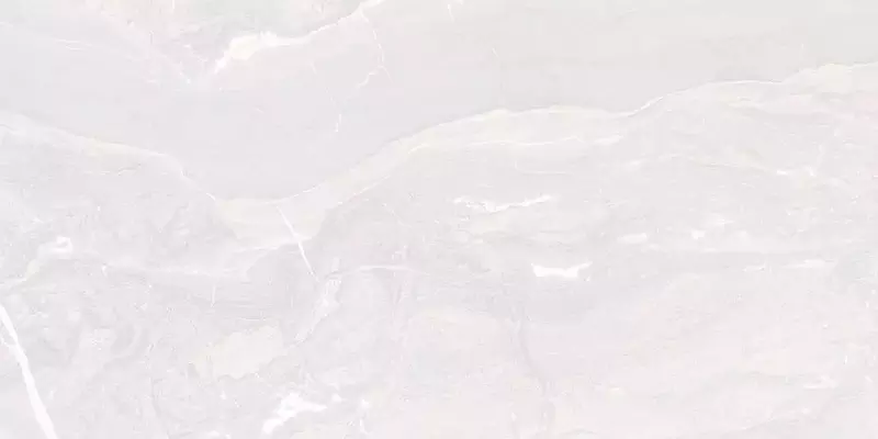 

Настенная плитка «Kerlife» Torino Glossy 63х31,5 33 925578 ice