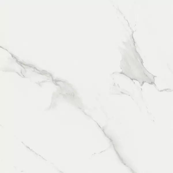 

Напольная плитка «STN Ceramica» Lumiere Matt. 100х100 924088 white