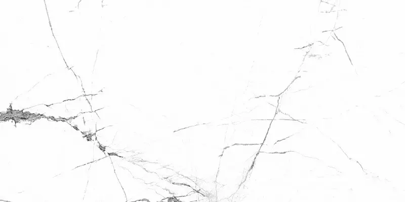 

Напольная плитка «Fanal» New Ice NPlus Glossy 120х60 33 923984 white