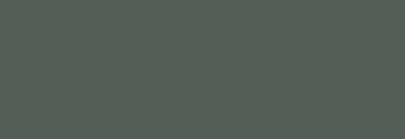 

Настенная плитка «Eletto Ceramica» Foresta Matt. 70х24,2 00-00108474 verde