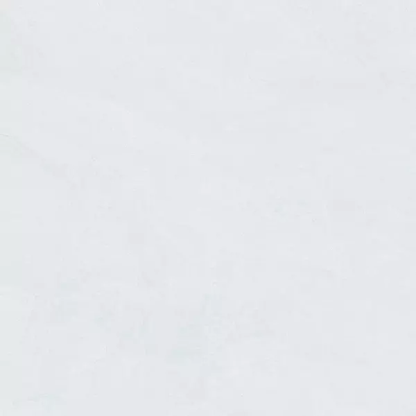 

Напольная плитка «Cayyenne» Mainstream Matt. 60х60 925768 white