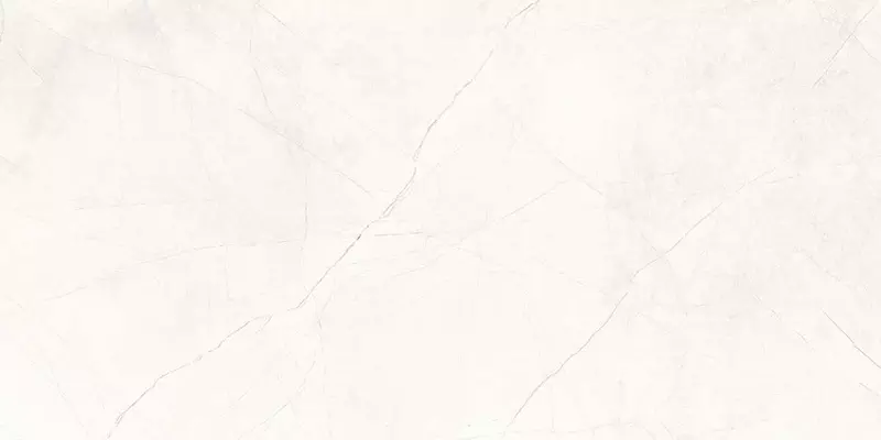 

Напольная плитка «Ceradim» Stone Micado Polish. 120х60 х9999301496 blanco