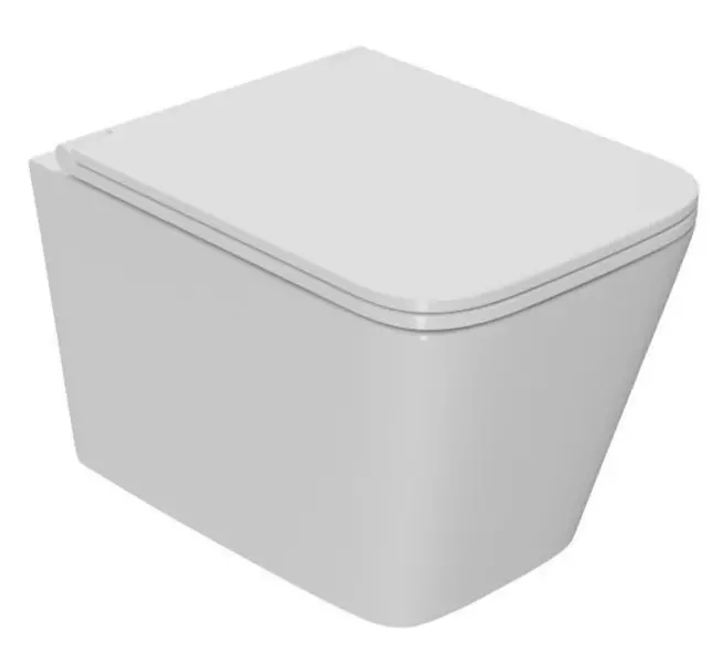 Подвесной унитаз безободковый Sintesi Balti SIN-TS-BLT-172 белый с сиденьем дюропласт с микролифтом белое 13700₽