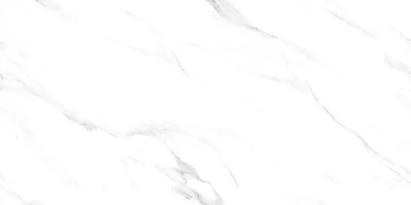 Напольная плитка Infinity Ceramica Cortina Florida Matt 120x60 carving 00000017132 ice bianco 3040₽