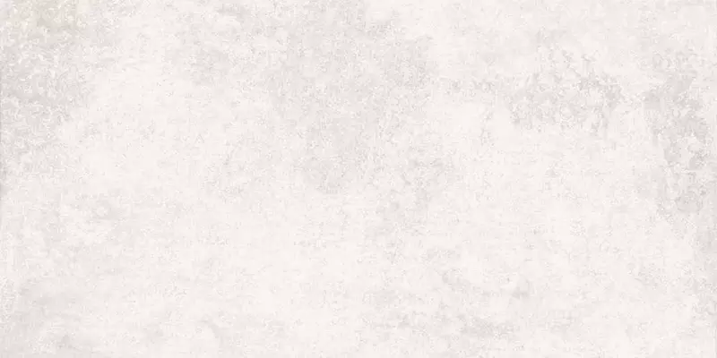 

Напольная плитка «Eurotile Ceramica» Baltimore 530 Matt. 120х60 01-00107685 light