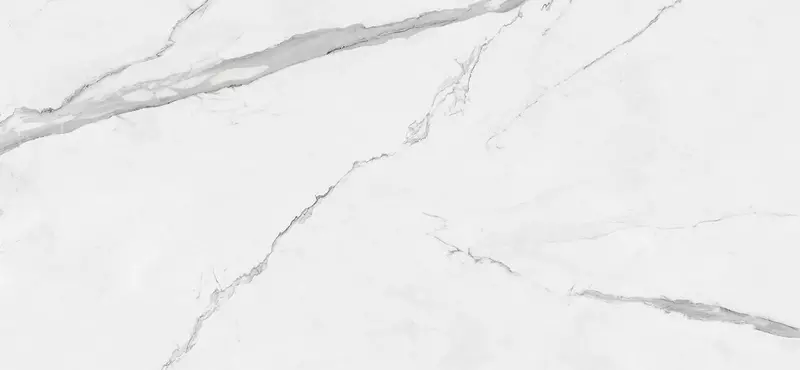 

Напольная плитка «Pamesa» Cellini Polish. 260х120 054.200.0012.09556 blanco