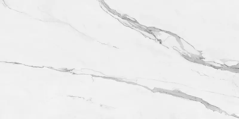 

Напольная плитка «Pamesa» Cellini Polish. 120х60 004.869.0012.09556 blanco