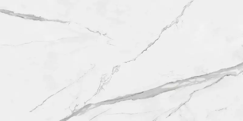 

Напольная плитка «Pamesa» Cellini M Matt. 120х60 017.869.0012.10091 blanco