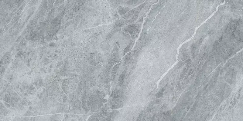 

Напольная плитка «Pamesa» Pietra Di Savoia Matt. 120х60 017.869.0656.12205 argento