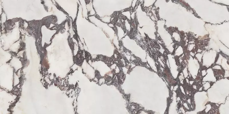

Напольная плитка «Pamesa» Lux Viola 1 Polish. 120х60 046.869.0001.11342 бело-коричневый