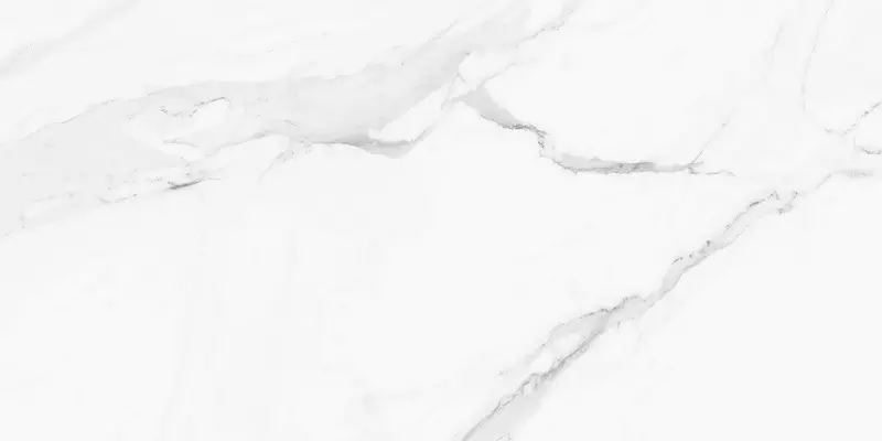 

Напольная плитка «Pamesa» Calacata White 1 Polish. 120х60 004.869.0001.12261 white