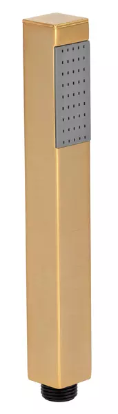 Ручная лейка «Daniel» A495SDP брашированное золото