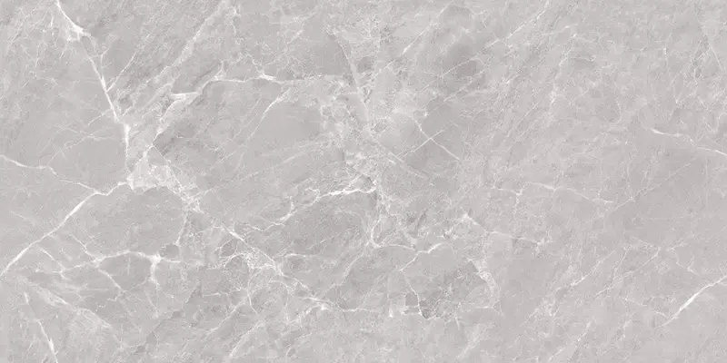 

Напольная плитка «Ceradim» Mramor Chic Polish. 120x60 х9999304610 silver