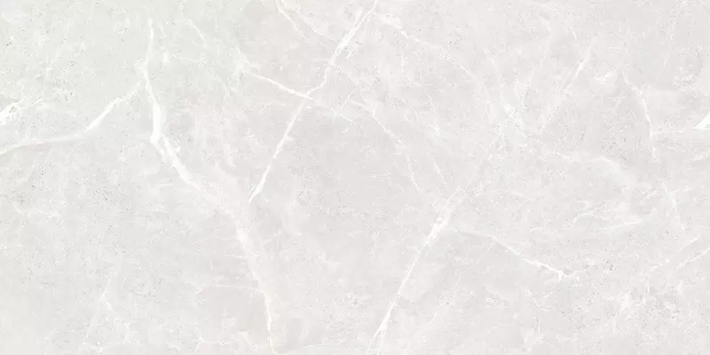 

Напольная плитка «Ceradim» Stone Cool Polish. 120x60 х9999304584 white