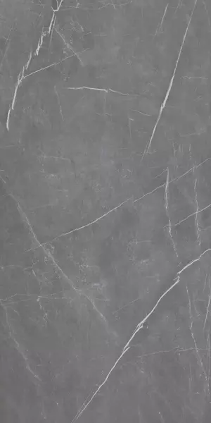 

Напольная плитка «Eurotile Ceramica» Pietra 268 Polish. 120х60 01-00108463 gray